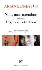 "Nous nous attendons" d'Ariane Dreyfus
